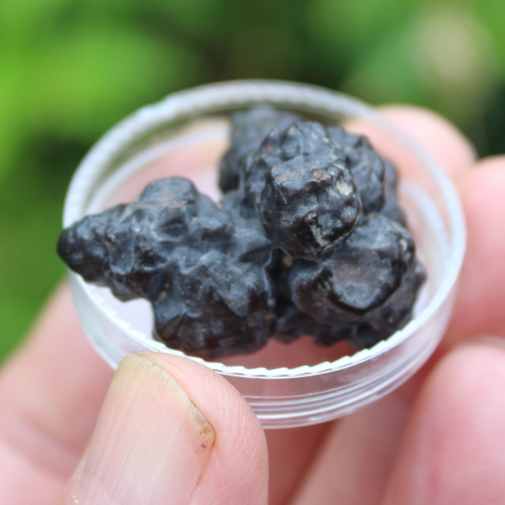 Carbonado Diamond from Egypt 16g Rocks and Things