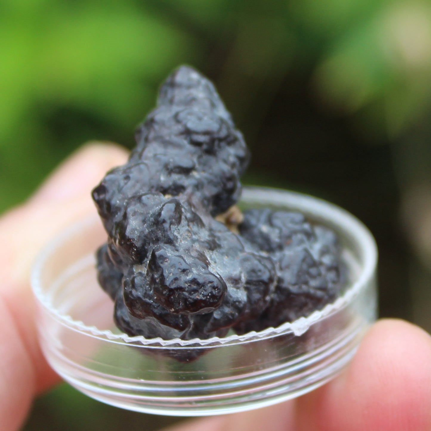 Carbonado Diamond from Egypt 16g Rocks and Things