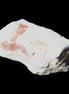 Petrified Wood 32*25*20mm from Texas, USA 27g in sunlight - Rocks and Things Store
