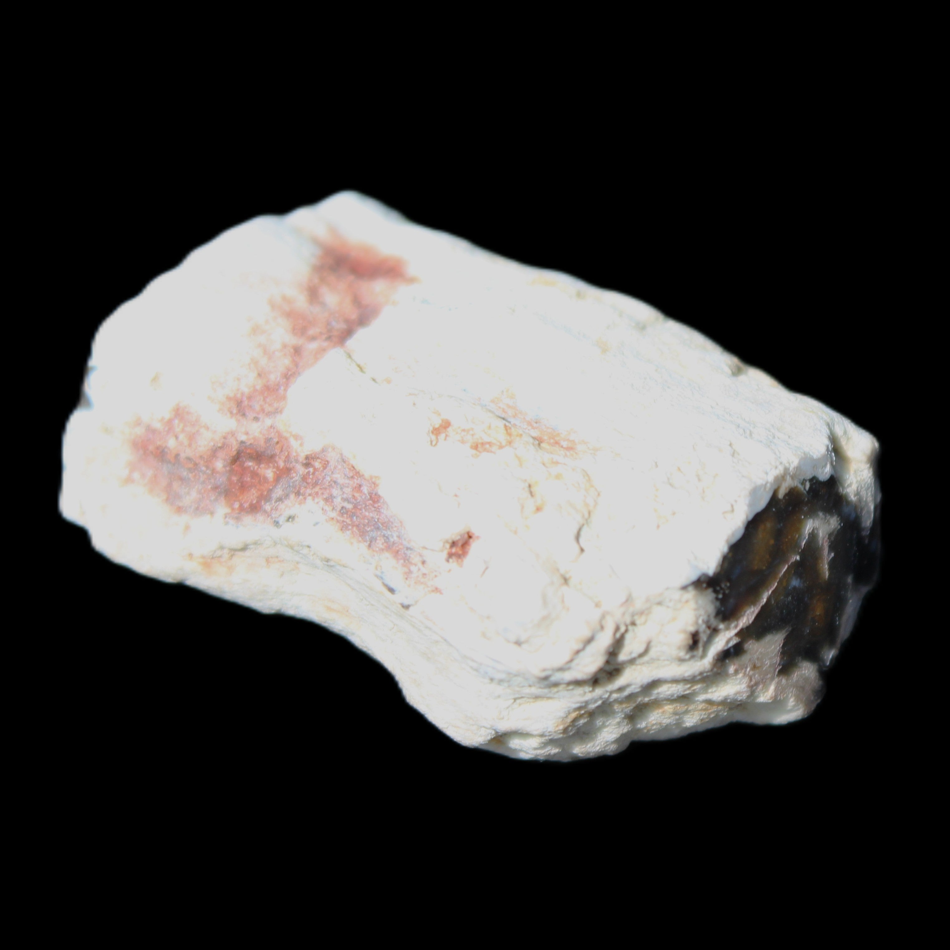 Petrified Wood 32*25*20mm from Texas, USA 27g in sunlight - Rocks and Things Store