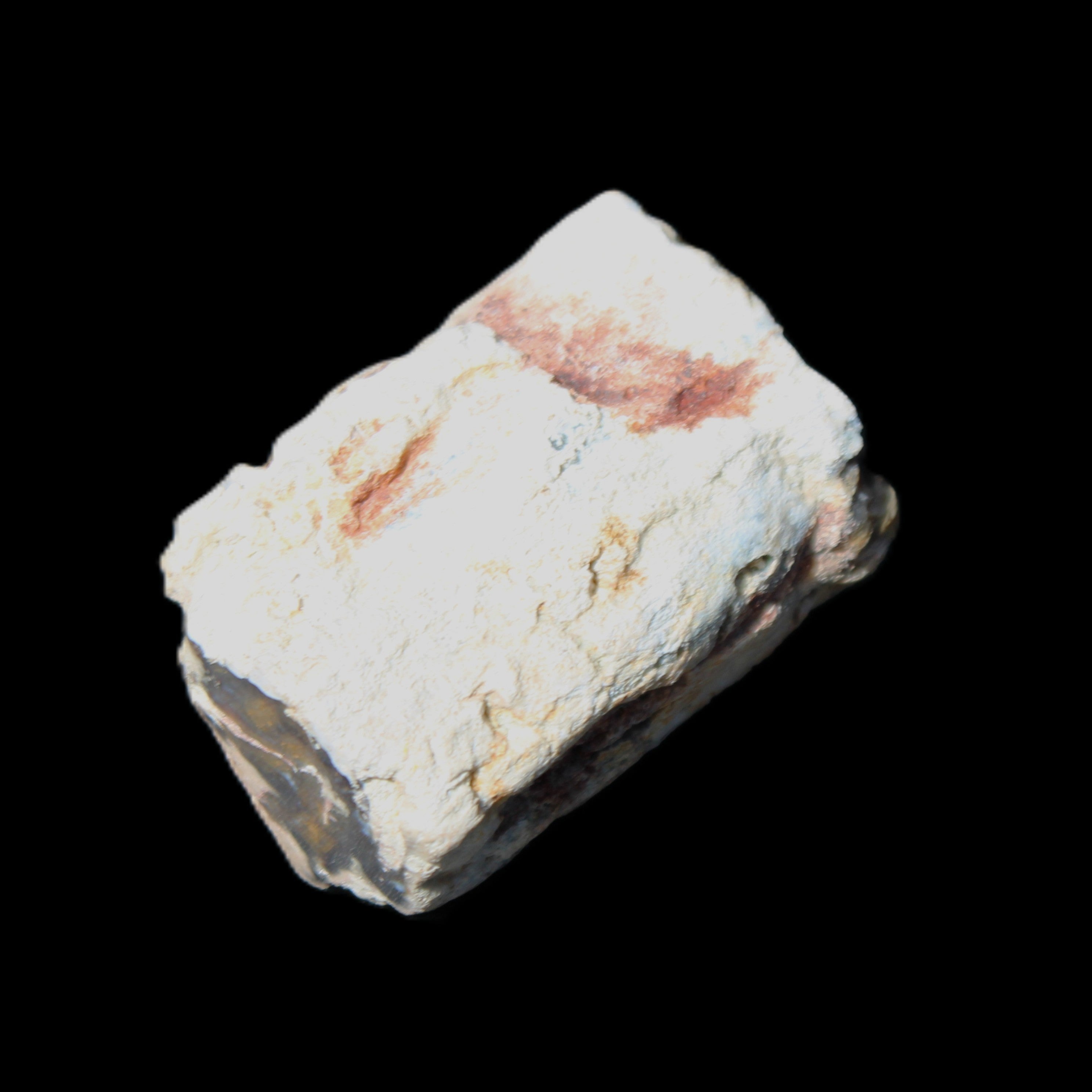 Petrified Wood 32*25*20mm from Texas, USA 27g in sunlight - Rocks and Things Store