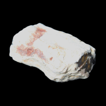 Petrified Wood 32*25*20mm from Texas, USA 27g in sunlight - Rocks and Things Store