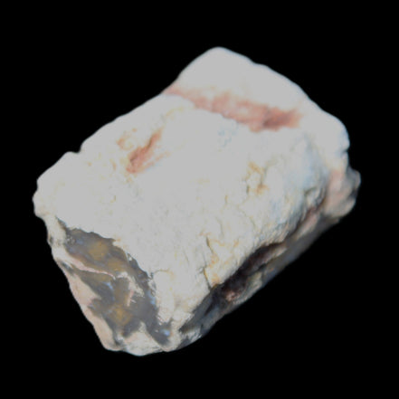 Petrified Wood 32*25*20mm from Texas, USA 27g in sunlight - Rocks and Things Store