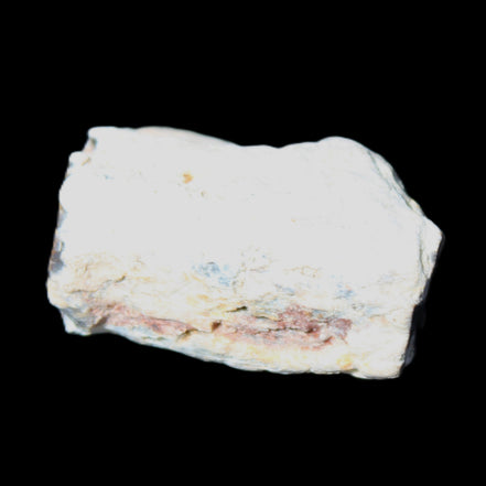 Petrified Wood 32*25*20mm from Texas, USA 27g in sunlight - Rocks and Things Store