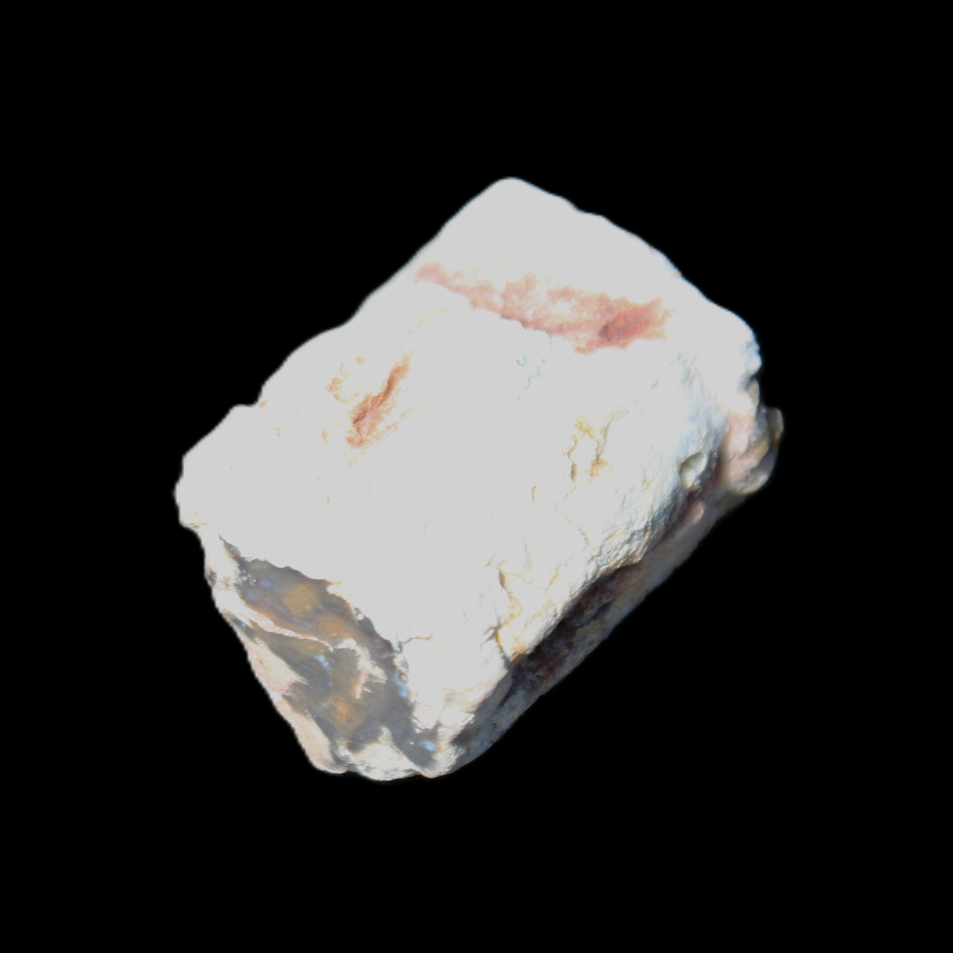 Petrified Wood 32*25*20mm from Texas, USA 27g in sunlight - Rocks and Things Store