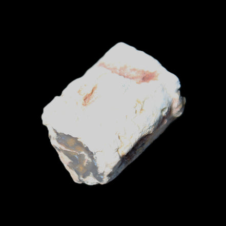 Petrified Wood 32*25*20mm from Texas, USA 27g in sunlight - Rocks and Things Store
