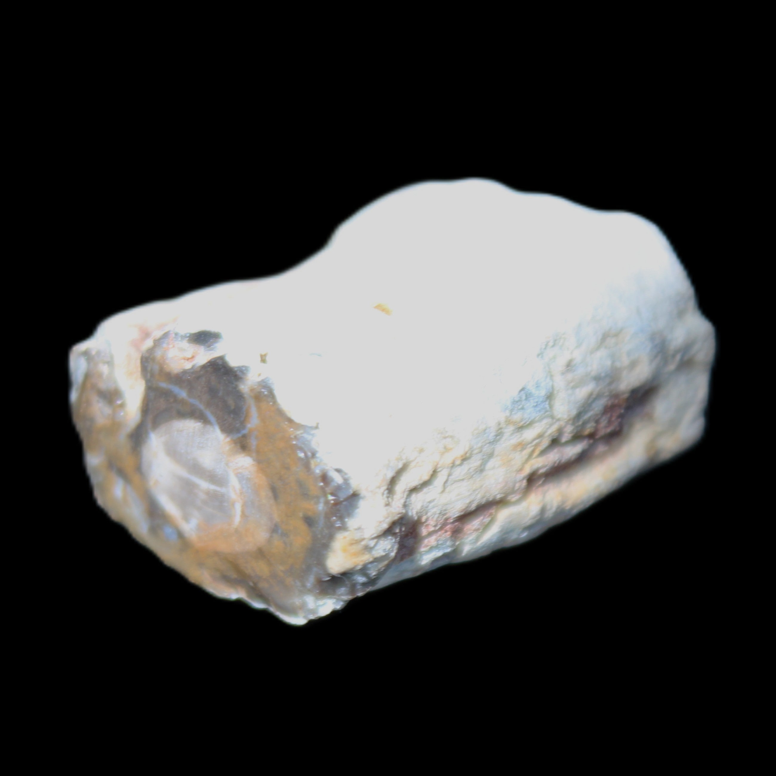 Petrified Wood 32*25*20mm from Texas, USA 27g in sunlight - Rocks and Things Store