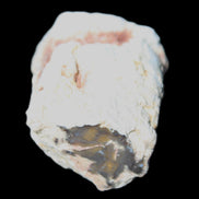 Petrified Wood 32*25*20mm from Texas, USA 27g in sunlight - Rocks and Things Store