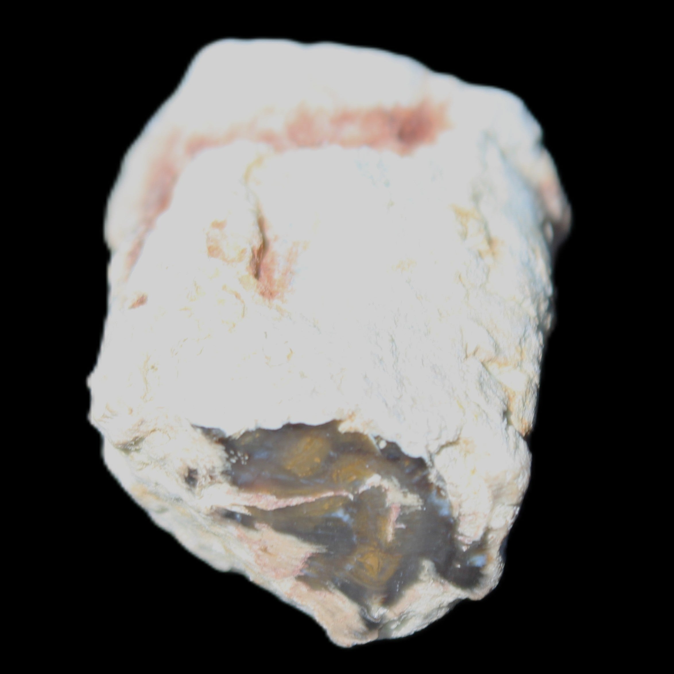 Petrified Wood 32*25*20mm from Texas, USA 27g in sunlight - Rocks and Things Store