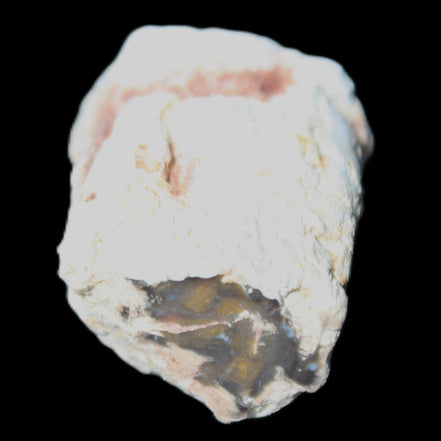 Petrified Wood 32*25*20mm from Texas, USA 27g in sunlight - Rocks and Things Store