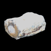Petrified Wood 32*25*20mm from Texas, USA 27g in sunlight - Rocks and Things Store