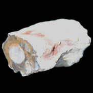Petrified Wood 32*25*20mm from Texas, USA 27g in sunlight - Rocks and Things Store