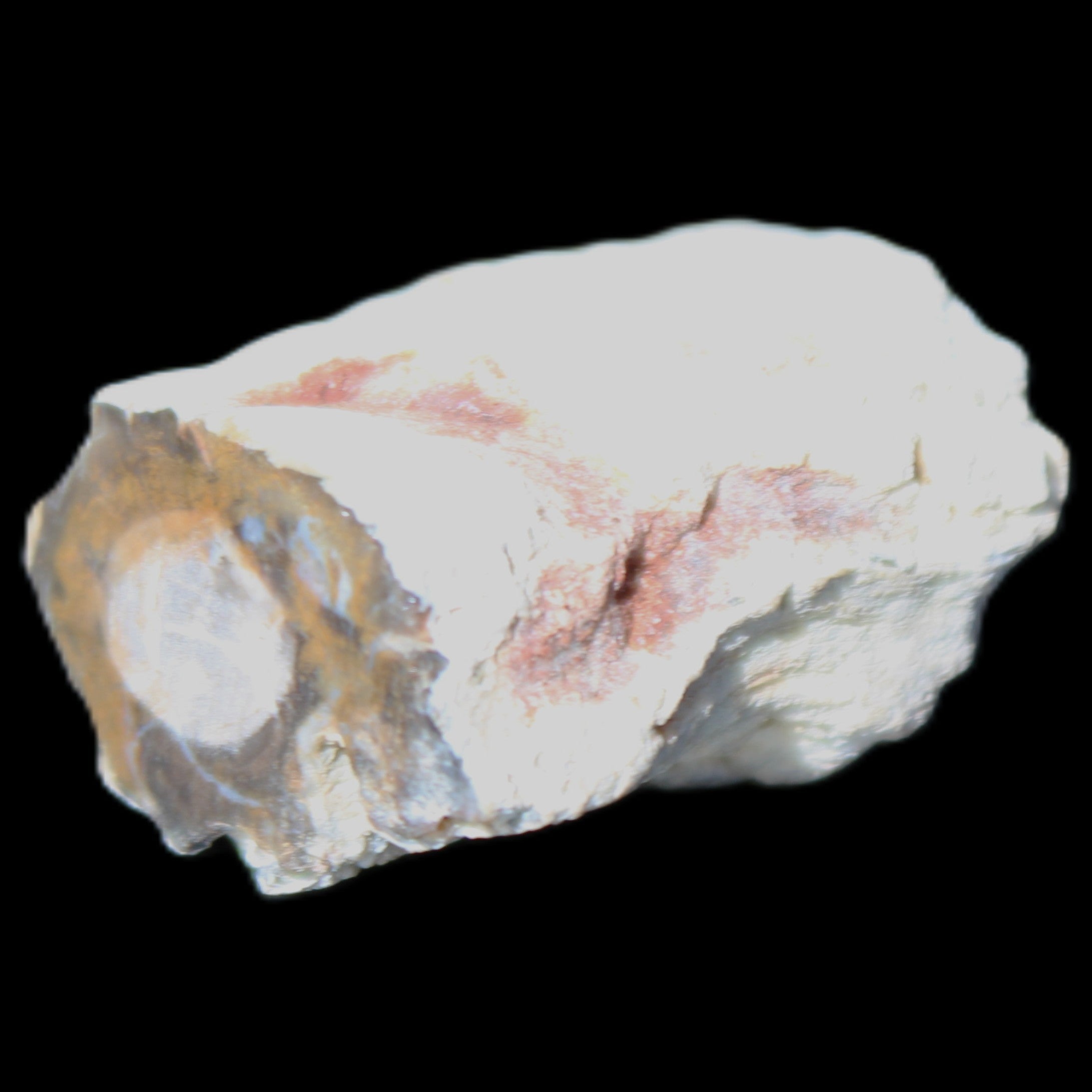 Petrified Wood 32*25*20mm from Texas, USA 27g in sunlight - Rocks and Things Store