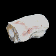 Petrified Wood 32*25*20mm from Texas, USA 27g in sunlight - Rocks and Things Store