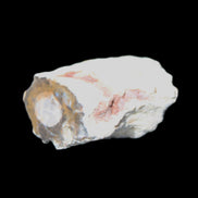 Petrified Wood 32*25*20mm from Texas, USA 27g in sunlight - Rocks and Things Store