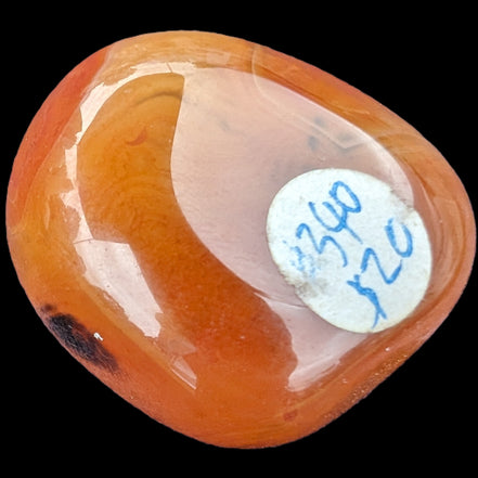 Crazy Lace Agate 73g Rocks and Things Store