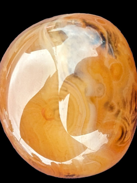 Crazy Lace Agate 73g Rocks and Things Store