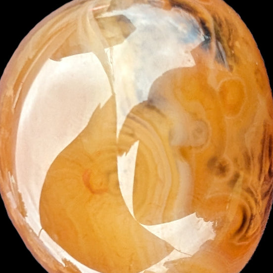 Crazy Lace Agate 73g Rocks and Things Store