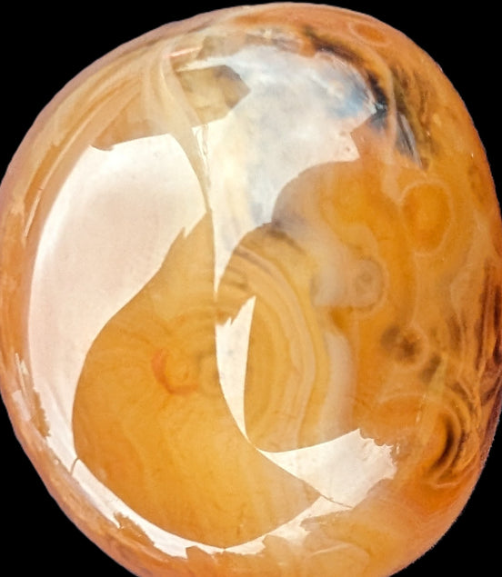 Crazy Lace Agate 73g Rocks and Things Store