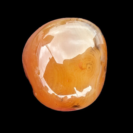 Crazy Lace Agate 73g Rocks and Things Store
