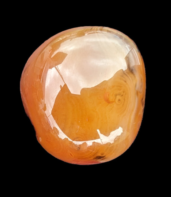Crazy Lace Agate 73g Rocks and Things Store