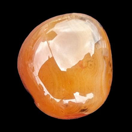 Crazy Lace Agate 73g Rocks and Things Store