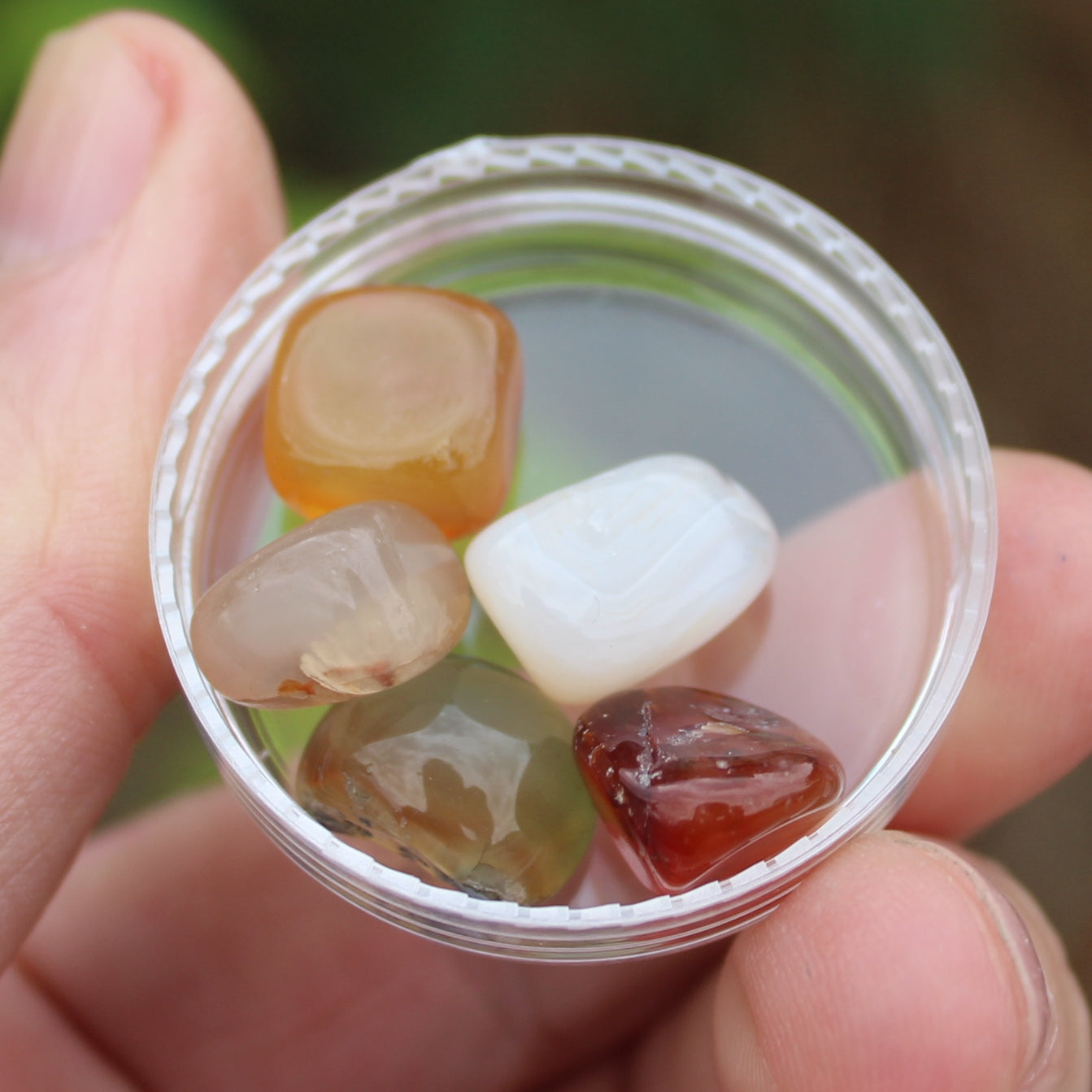 Agate tumbled 4/5 tiny stones 7-9g Rocks and Things