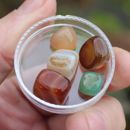 Agate tumbled 4/5 tiny stones 7-9g Rocks and Things