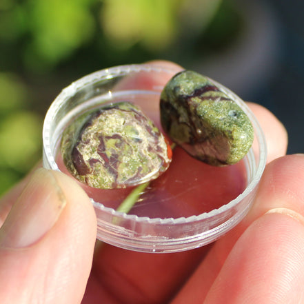 Dragons Blood Stone 2 tumbled stones 11-18g Rocks and Things