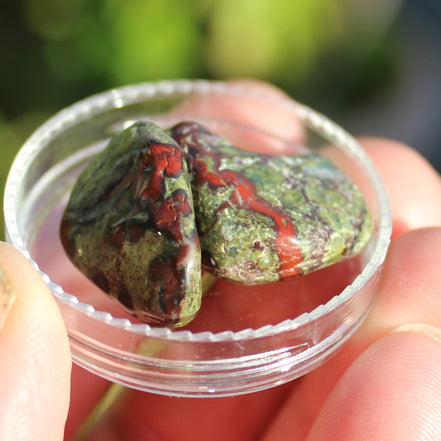 Dragons Blood Stone 2 tumbled stones 11-18g Rocks and Things