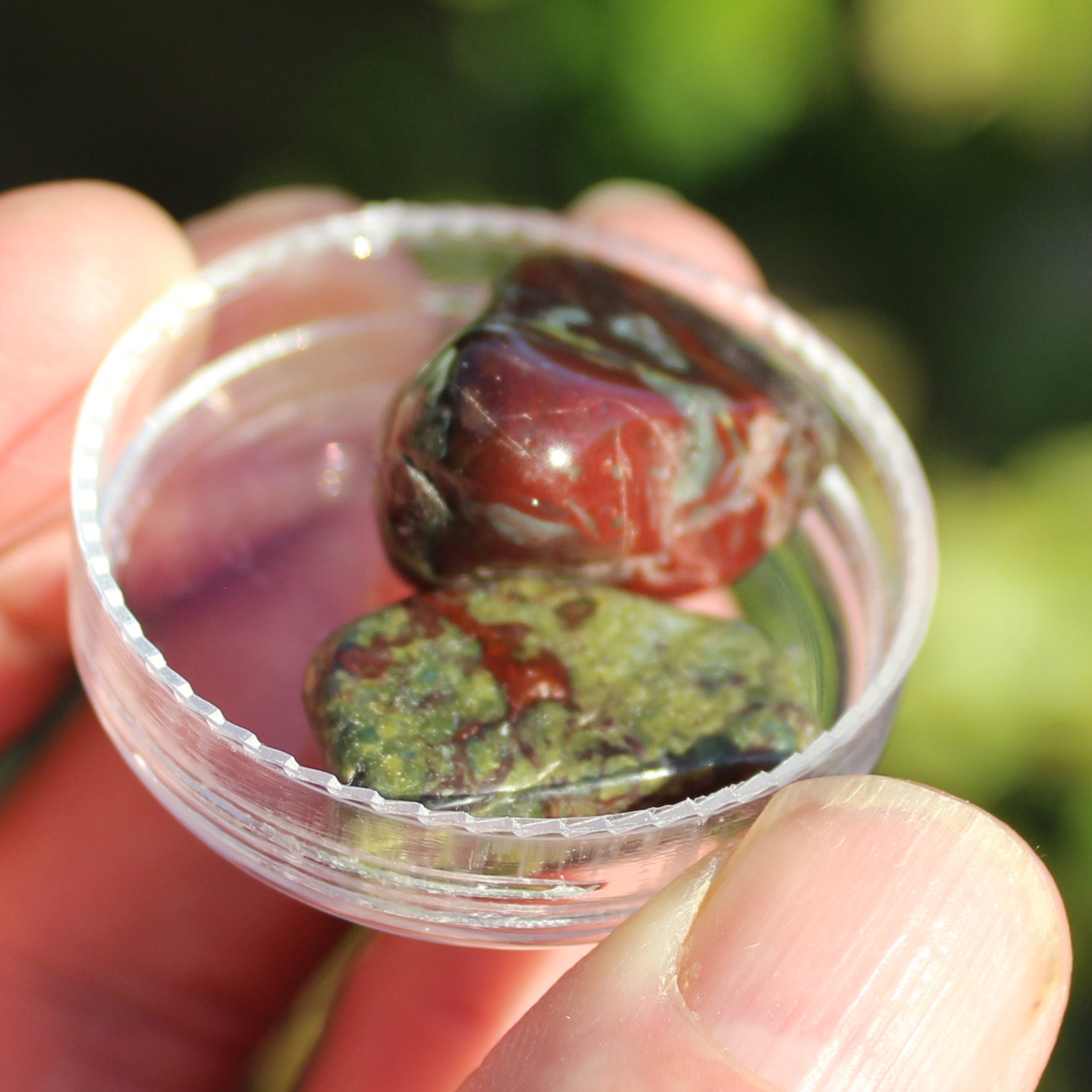 Dragons Blood Stone 2 tumbled stones 11-18g Rocks and Things