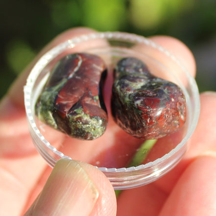 Dragons Blood Stone 2 tumbled stones 11-18g Rocks and Things