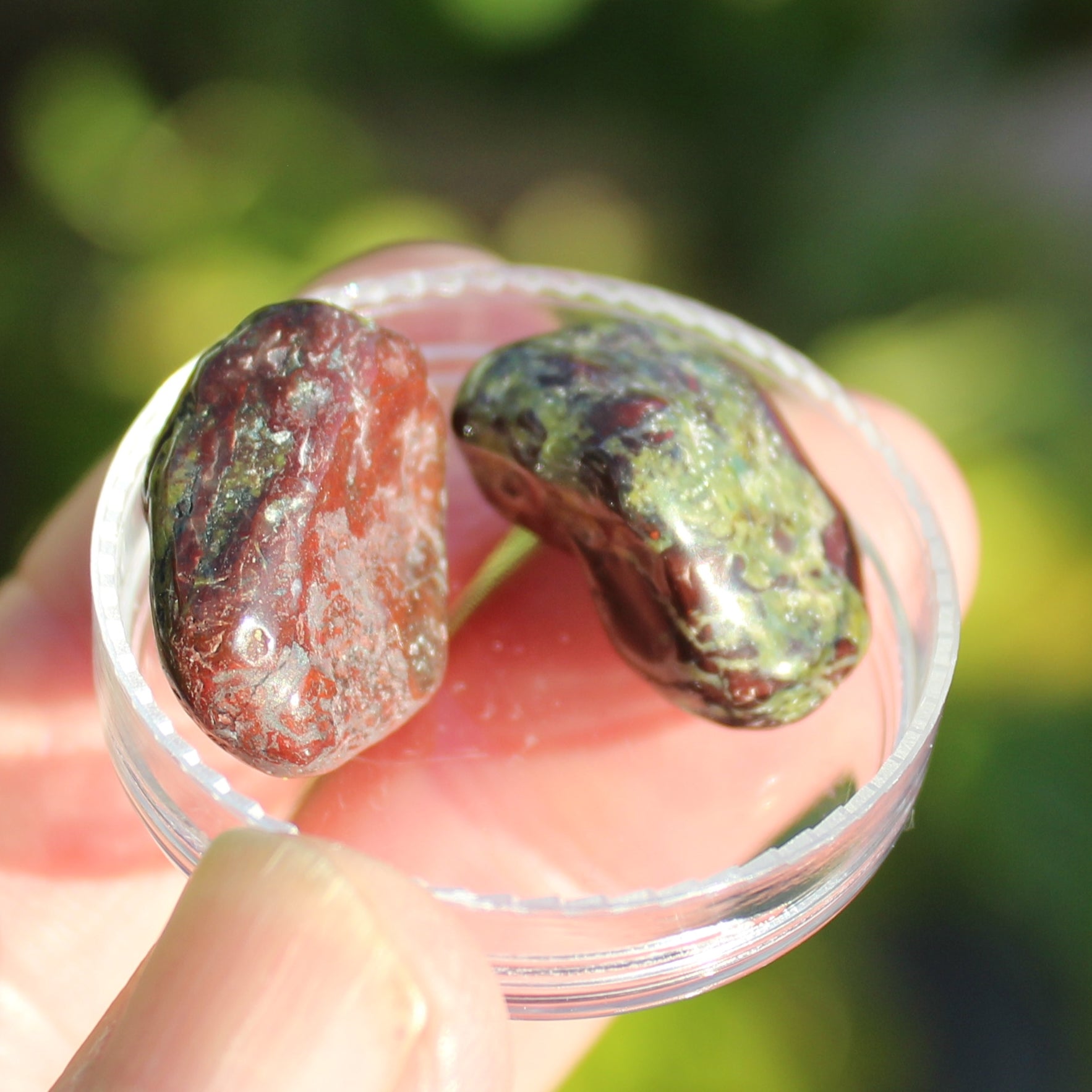 Dragons Blood Stone 2 tumbled stones 11-18g Rocks and Things