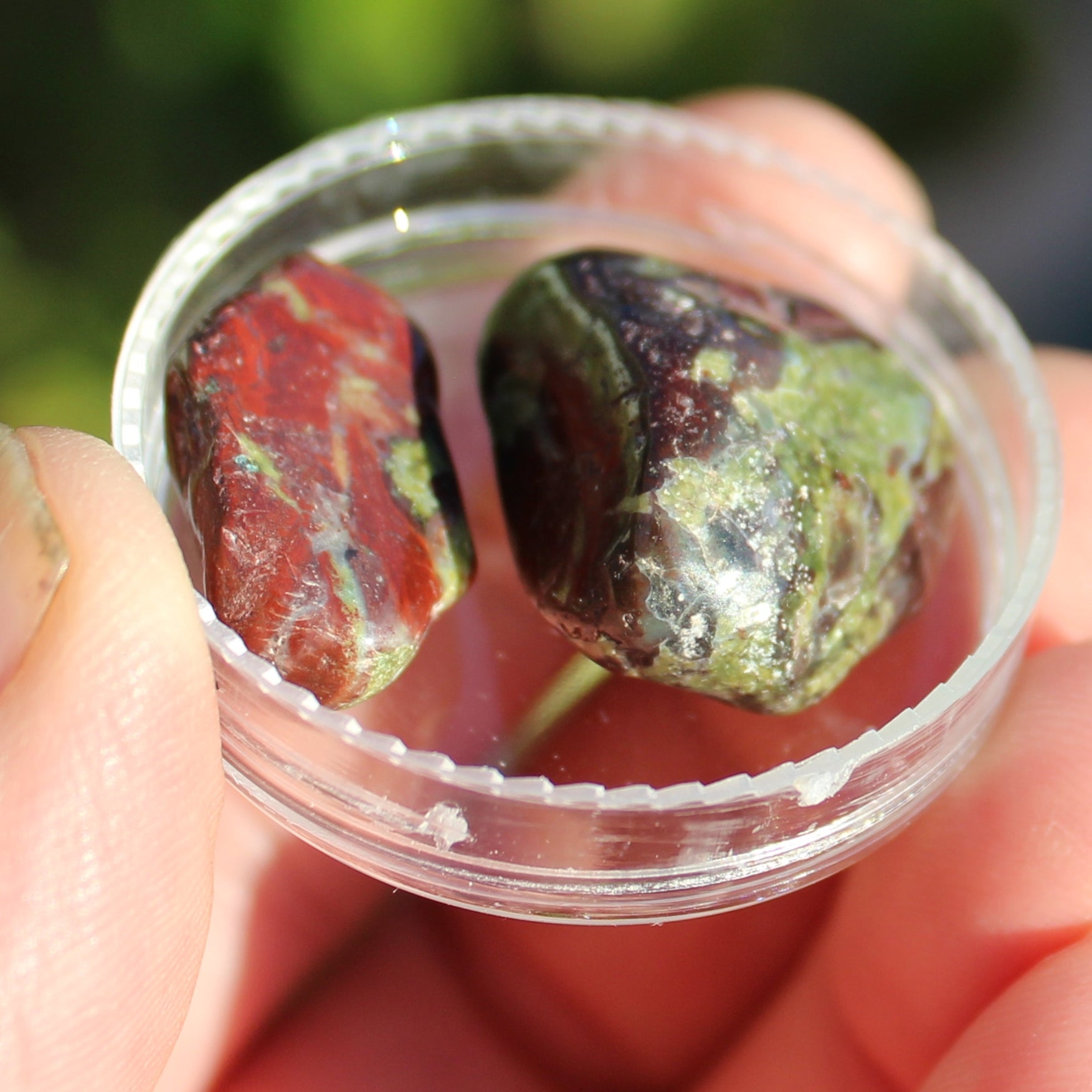Dragons Blood Stone 2 tumbled stones 11-18g Rocks and Things