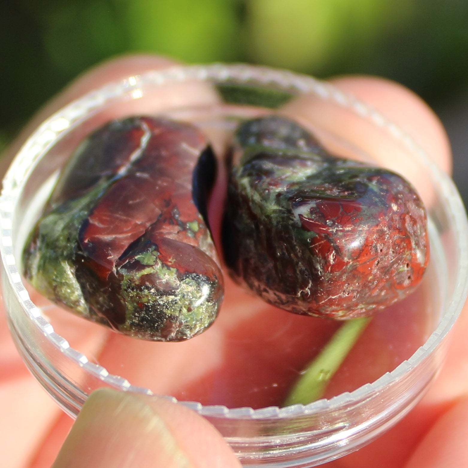 Dragons Blood Stone 2 tumbled stones 11-18g Rocks and Things