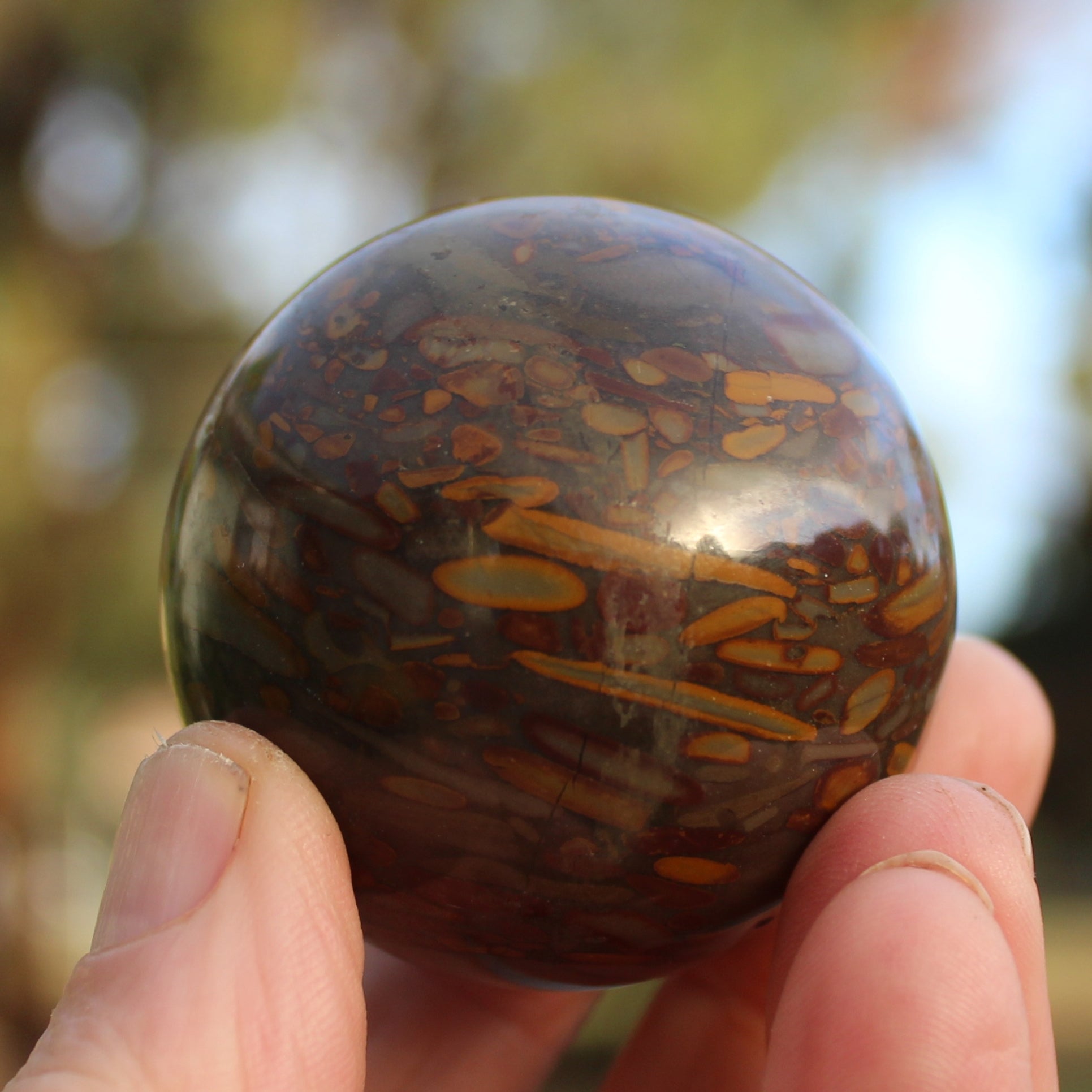 Bamboo Leaf Jasper sphere 175g Rocks and Things