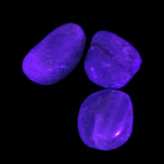 Pelllucid Caribbean Calcite Aragonite polished stones 14-18g Rocks and Things