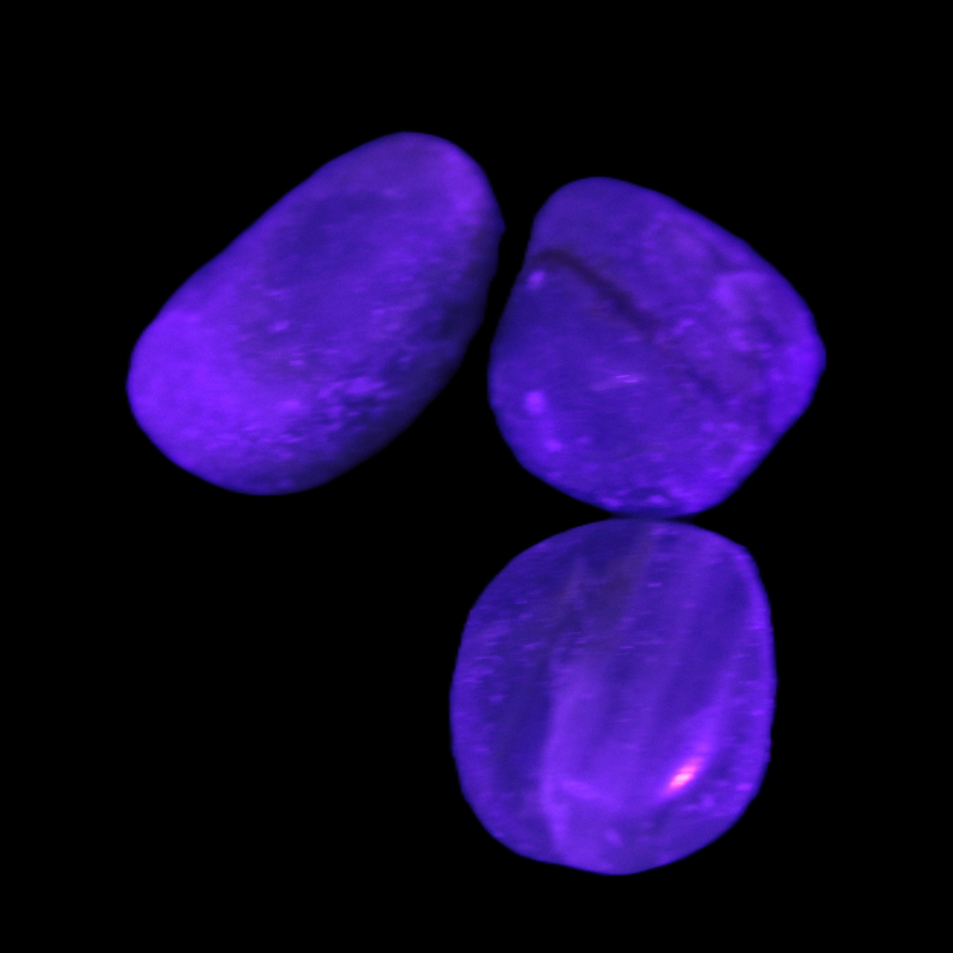 Pelllucid Caribbean Calcite Aragonite polished stones 14-18g Rocks and Things