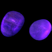 Pelllucid Caribbean Calcite Aragonite polished stones 14-18g Rocks and Things