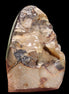 Septarian Dragon Stone geode egg 329g in sunshine - Rocks and Things Store
