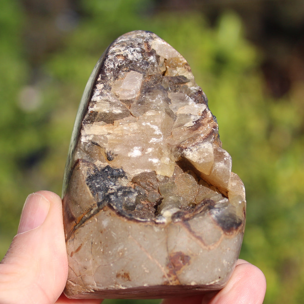 Septarian Dragon Stone geode egg 329g Rocks and Things