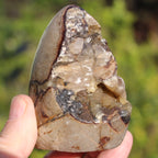 Septarian Dragon Stone geode egg 329g Rocks and Things