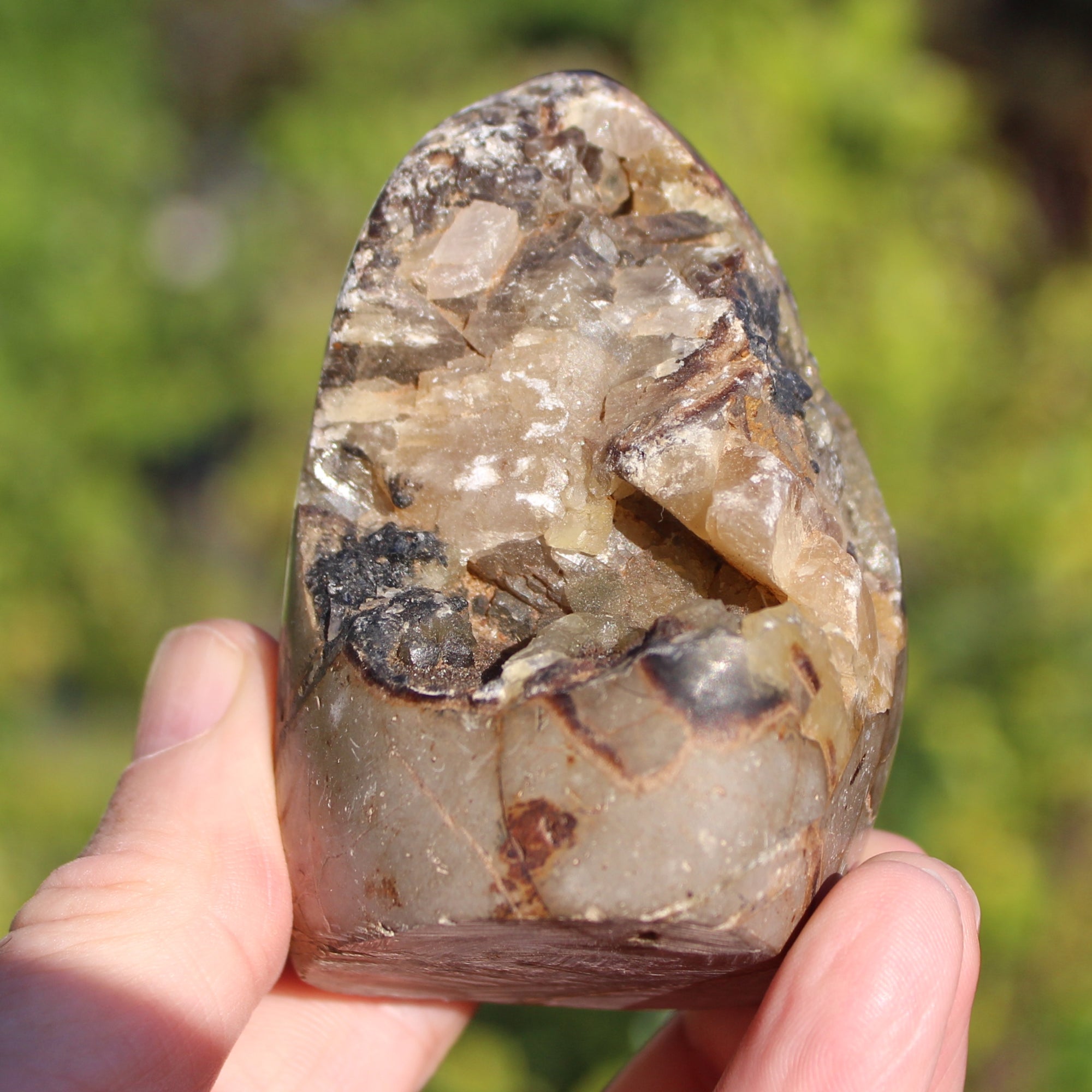Septarian Dragon Stone geode egg 329g Rocks and Things