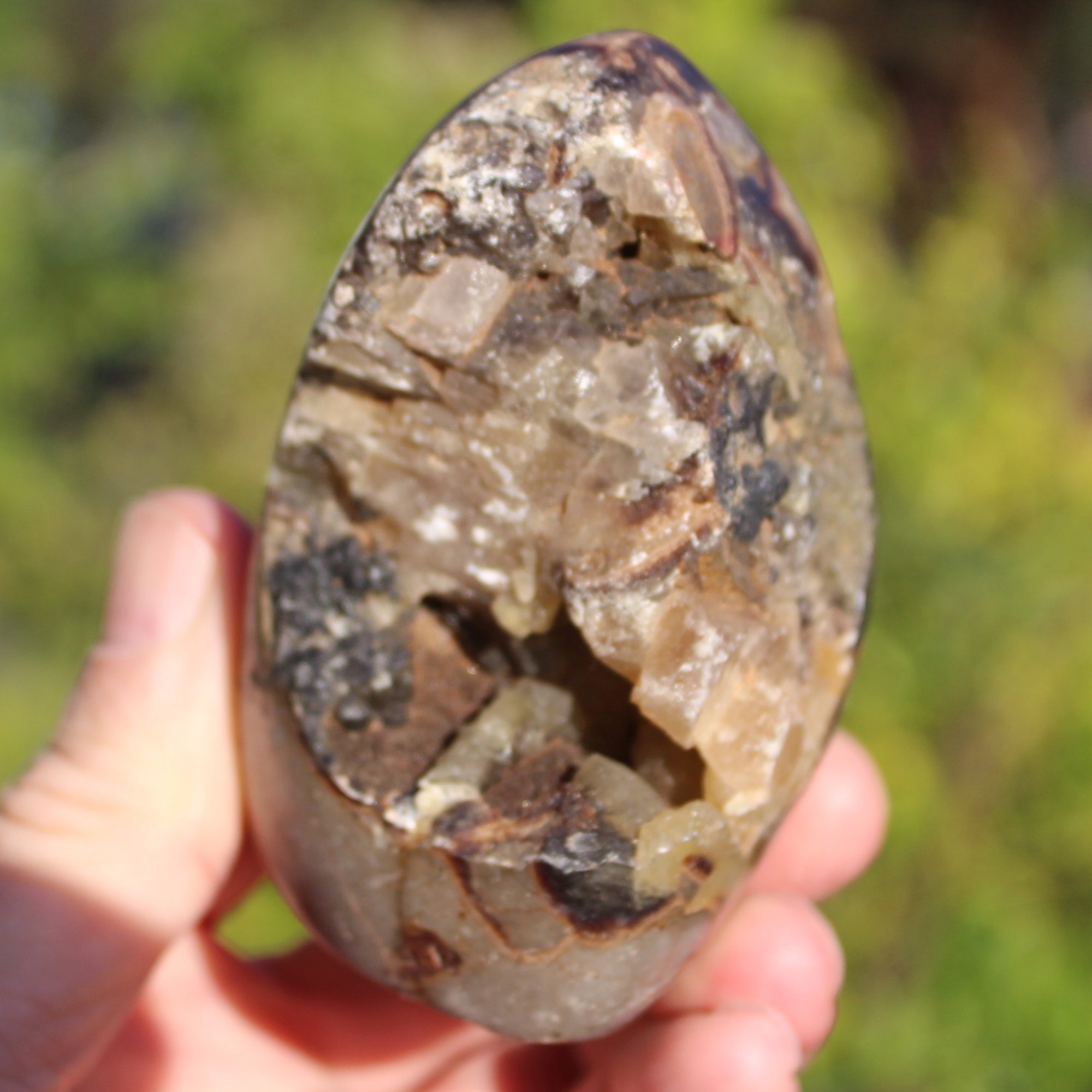 Septarian Dragon Stone geode egg 329g Rocks and Things