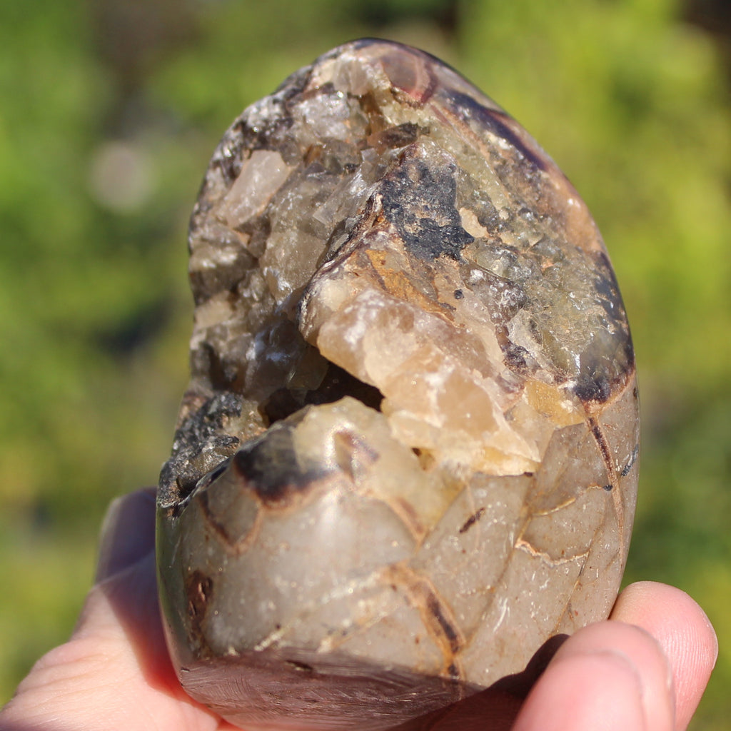 Septarian Dragon Stone geode egg 329g Rocks and Things