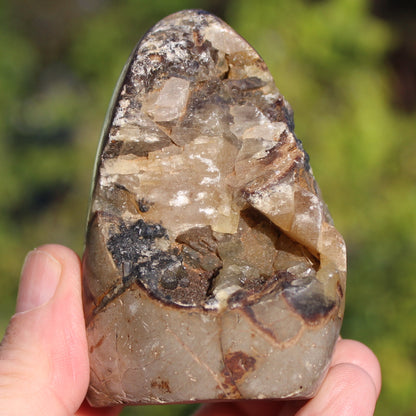 Septarian Dragon Stone geode egg 329g