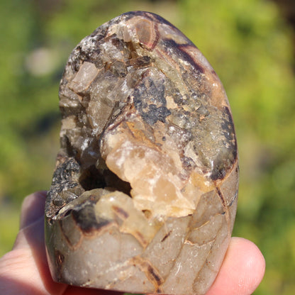 Septarian Dragon Stone geode egg 329g