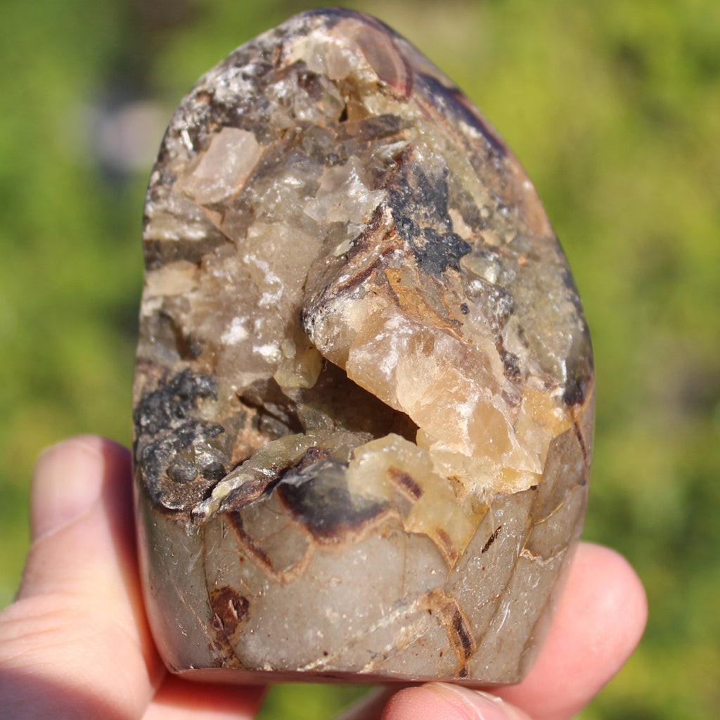 Septarian Dragon Stone geode egg 329g Rocks and Things