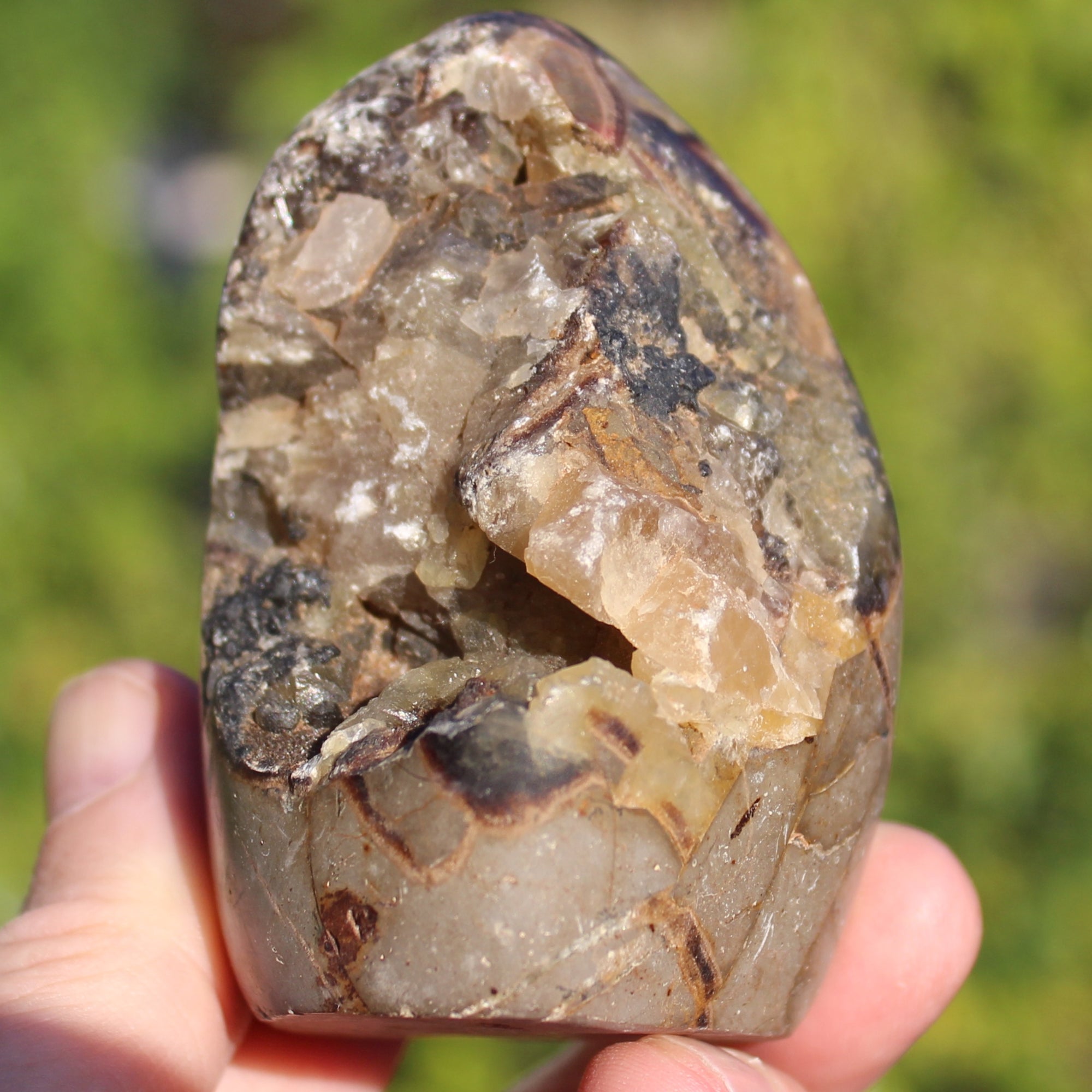 Septarian Dragon Stone geode egg 329g Rocks and Things