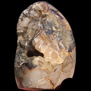 Septarian Dragon Stone geode egg 329g in sunshine - Rocks and Things Store